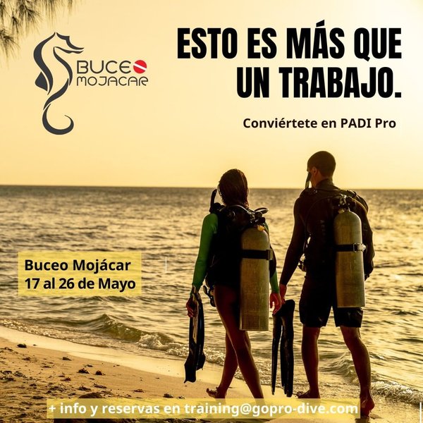 imagen camping