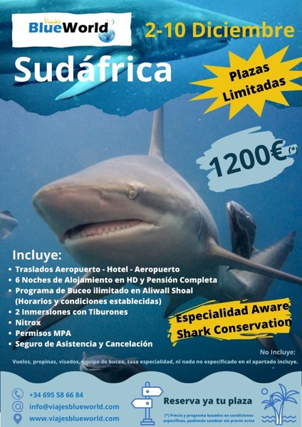imagen camping