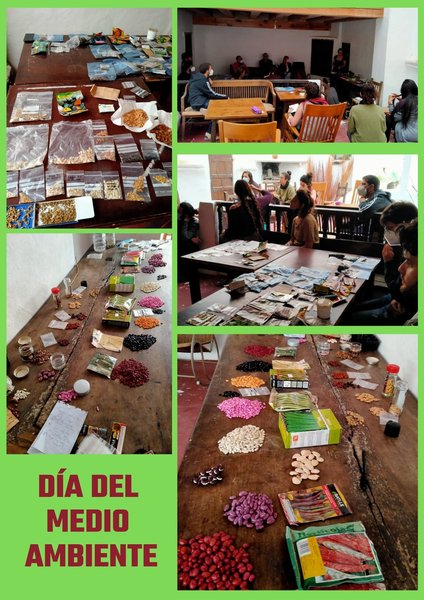 imagen camping
