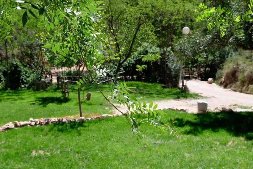 imagen camping