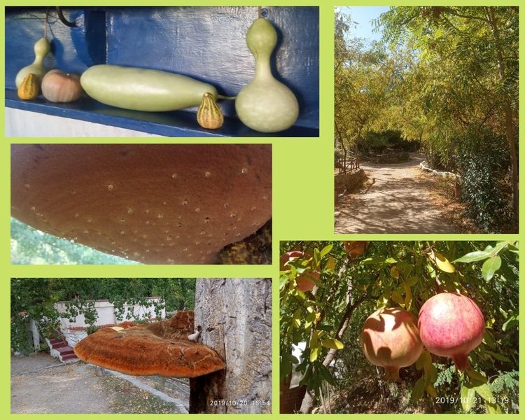 imagen camping