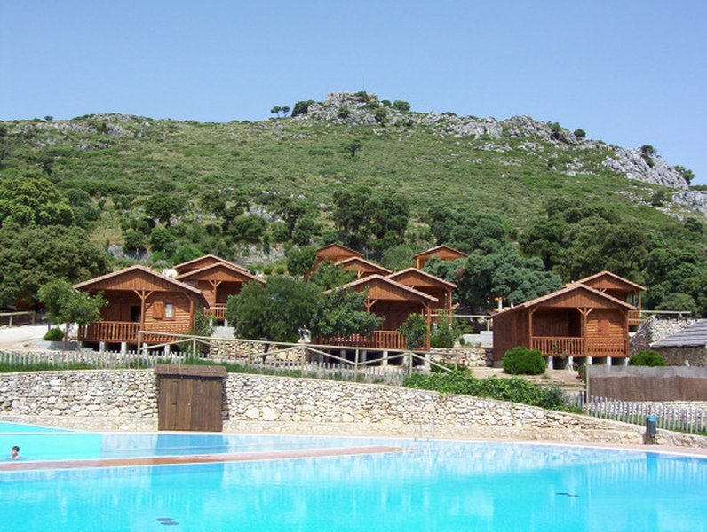 imagen camping