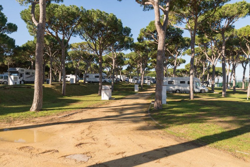 imagen camping