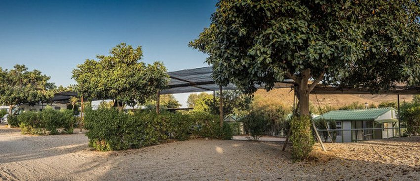 imagen camping
