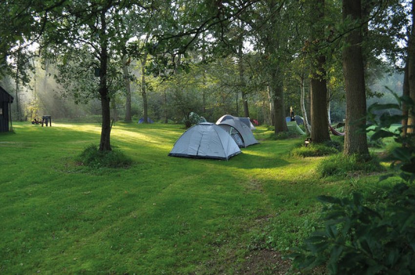 imagen camping