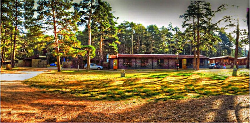 imagen camping