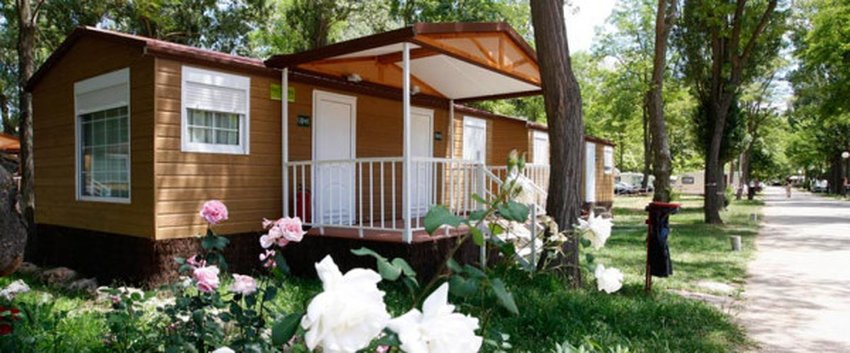 imagen camping