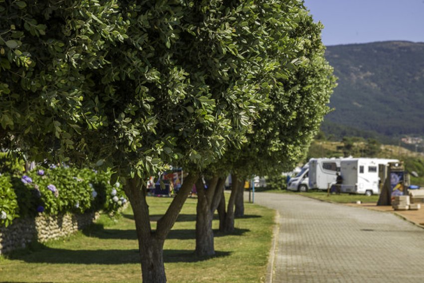 imagen camping
