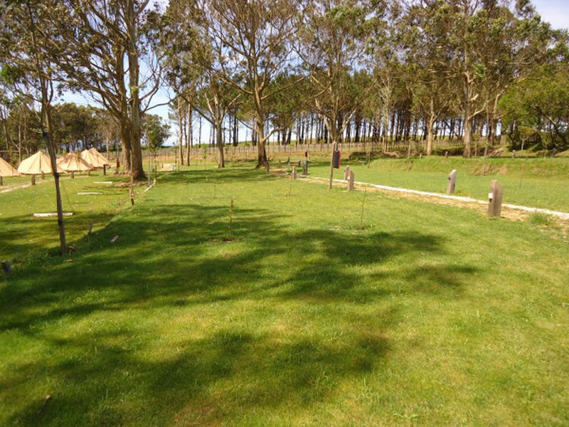 imagen camping