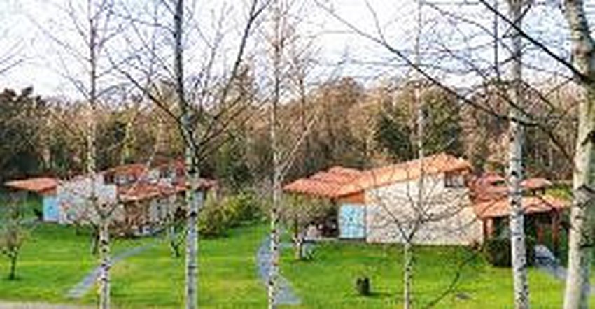 imagen camping