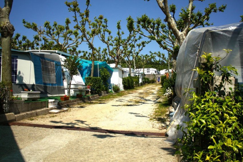 imagen camping