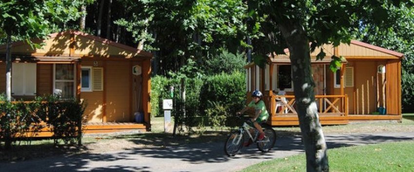 imagen camping