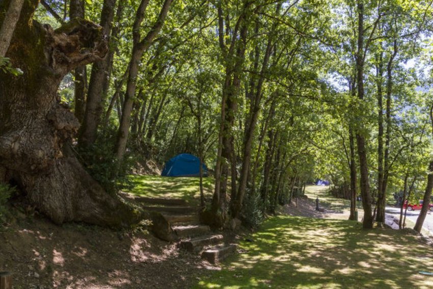 imagen camping