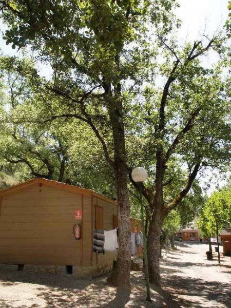 imagen camping
