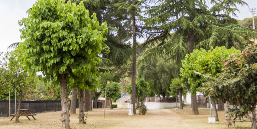 imagen camping