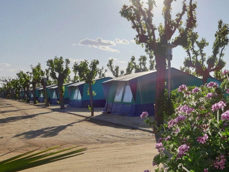 imagen camping