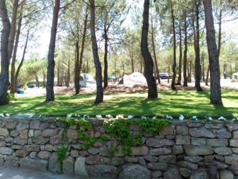 imagen camping