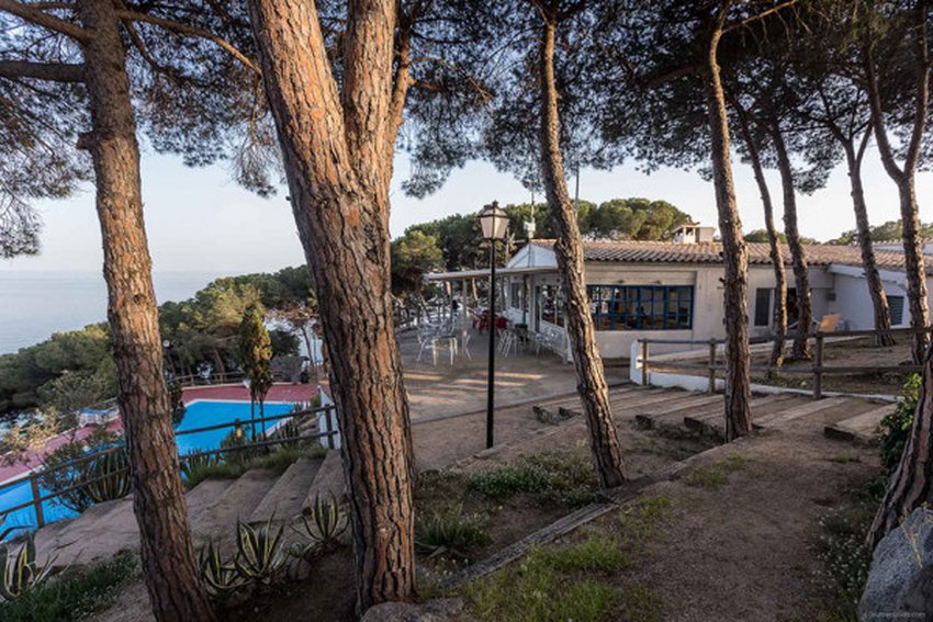 imagen camping