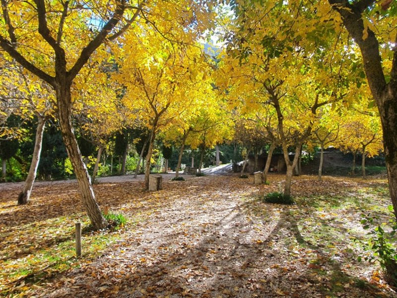 imagen camping