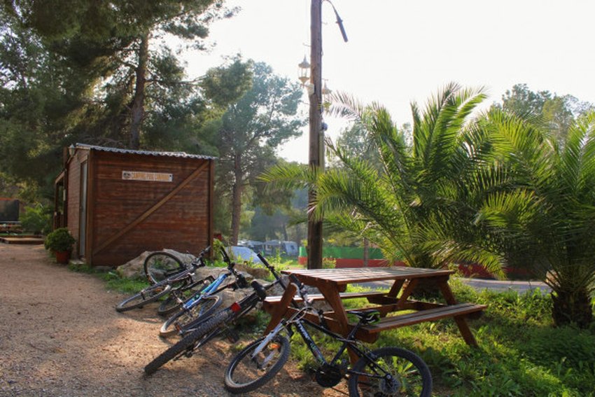 imagen camping