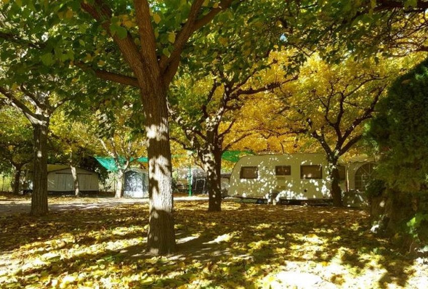 imagen camping