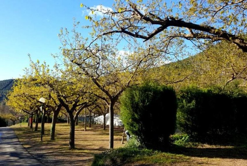 imagen camping