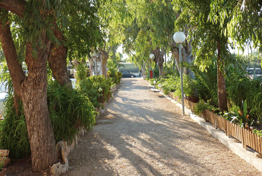 imagen camping
