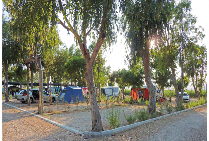 imagen camping