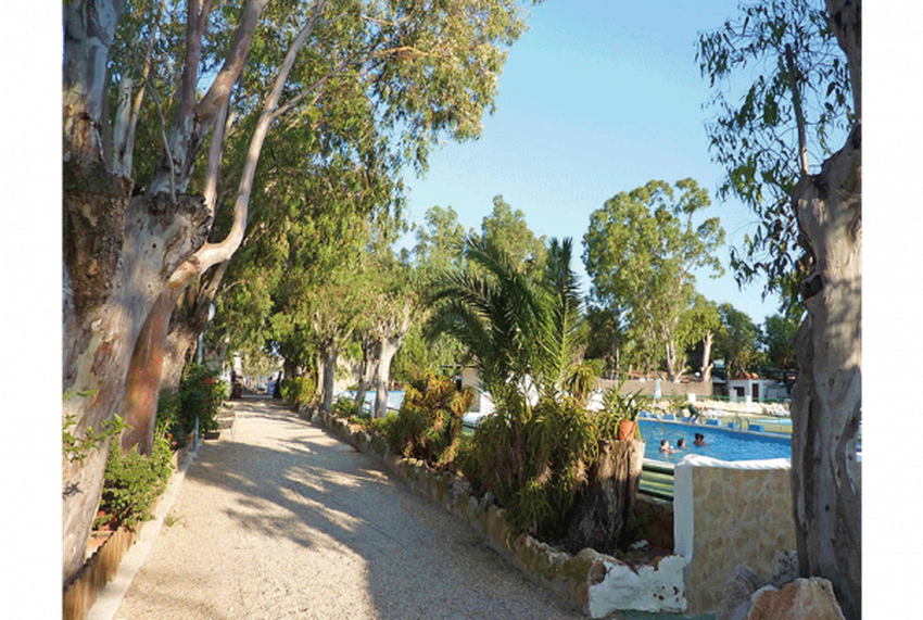 imagen camping