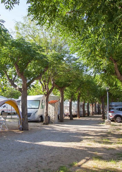 imagen camping