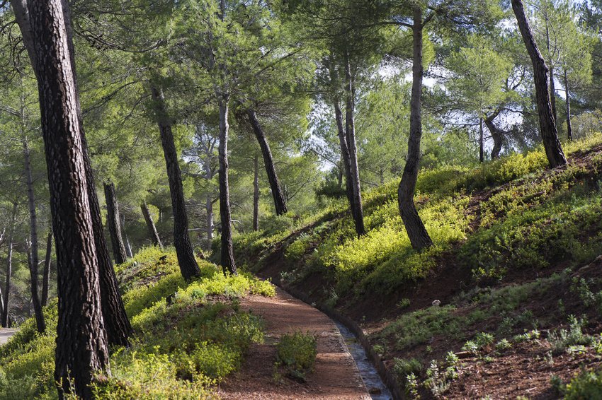 imagen camping