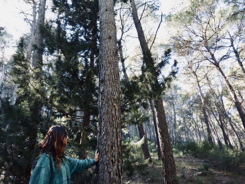 imagen camping